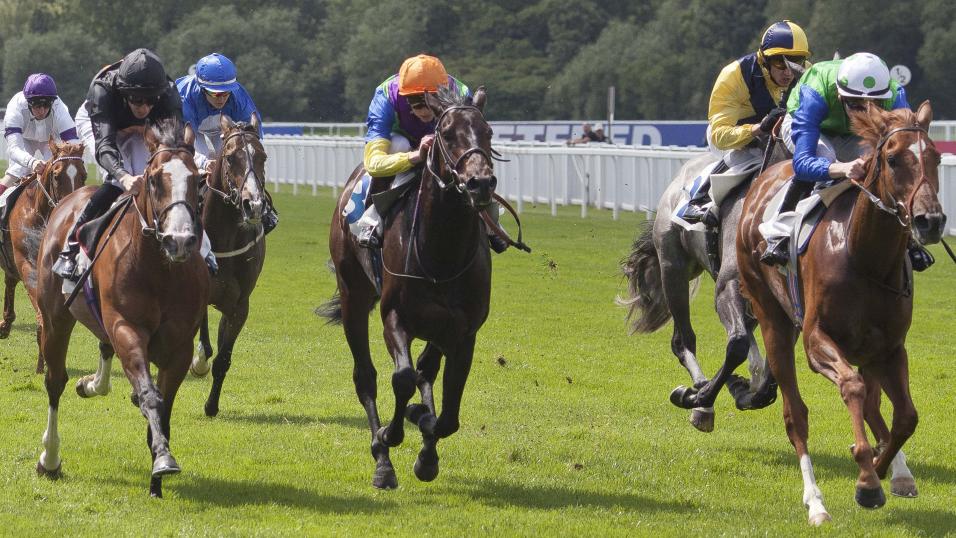 Today's best bet Athary runs at Windsor